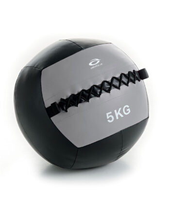 Abilica Wallball  5kg