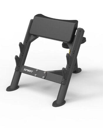 Preacher Curl Bench