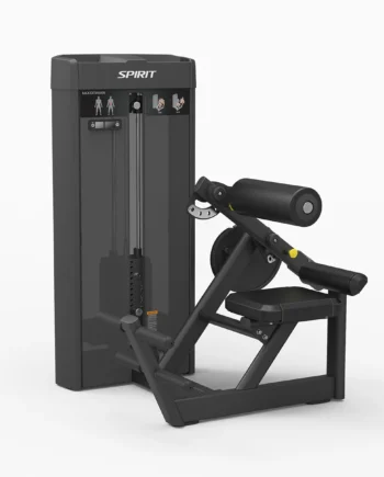Spirit Back Extension Sp-4310