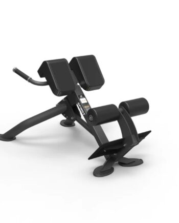 Spirit Roman Machine Back Extension