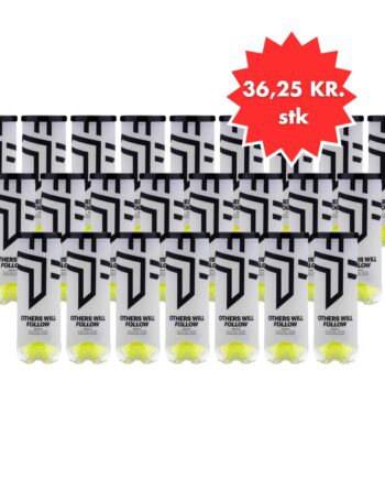Kasse Oxdog Boost  Speed Padelbolde  24 Rør
