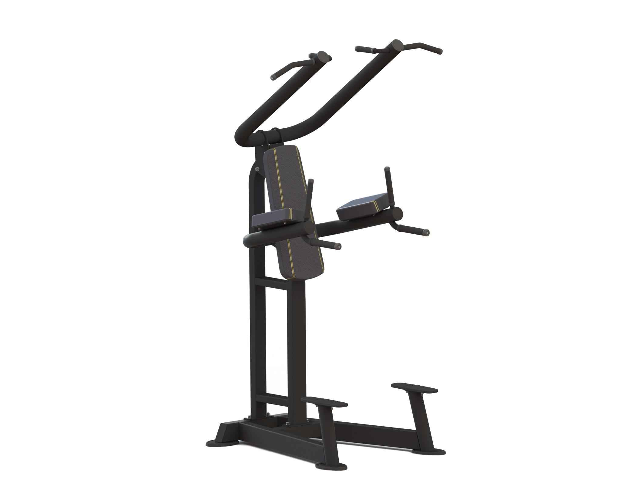 Relax Pro Fitness Relax Chin Up Dip Ptt0219