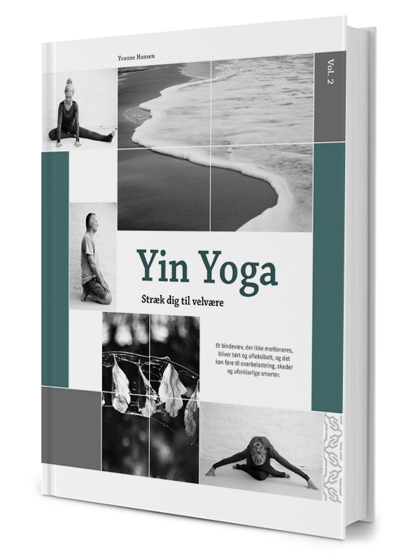 Yin Yoga   Stræk Dig Til Velvære Vol